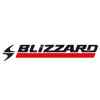 Logo Blizzard